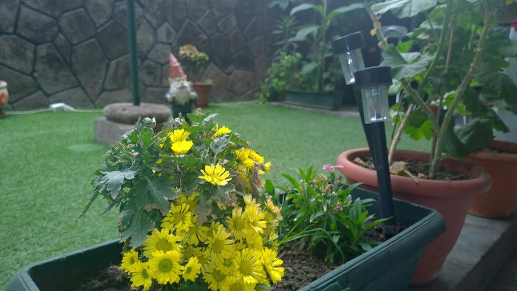 Bed & Breakfast Blumen Haus Santiago Buitenkant foto