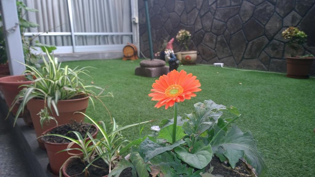 Bed & Breakfast Blumen Haus Santiago Buitenkant foto